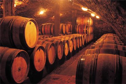 Cave aux Vins de France caviste Saint Dié des Vosges vins du