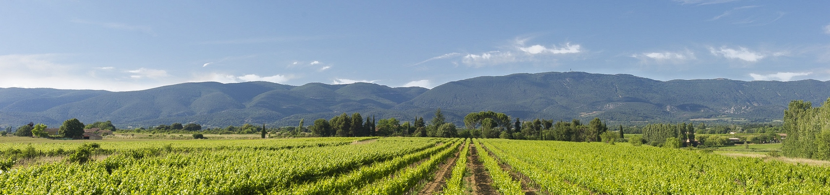 Vignoble du Luberon